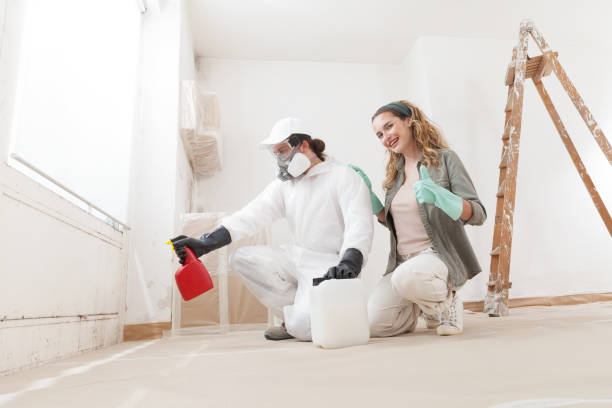 Best Mold Odor Removal Services  in Sundance, WY